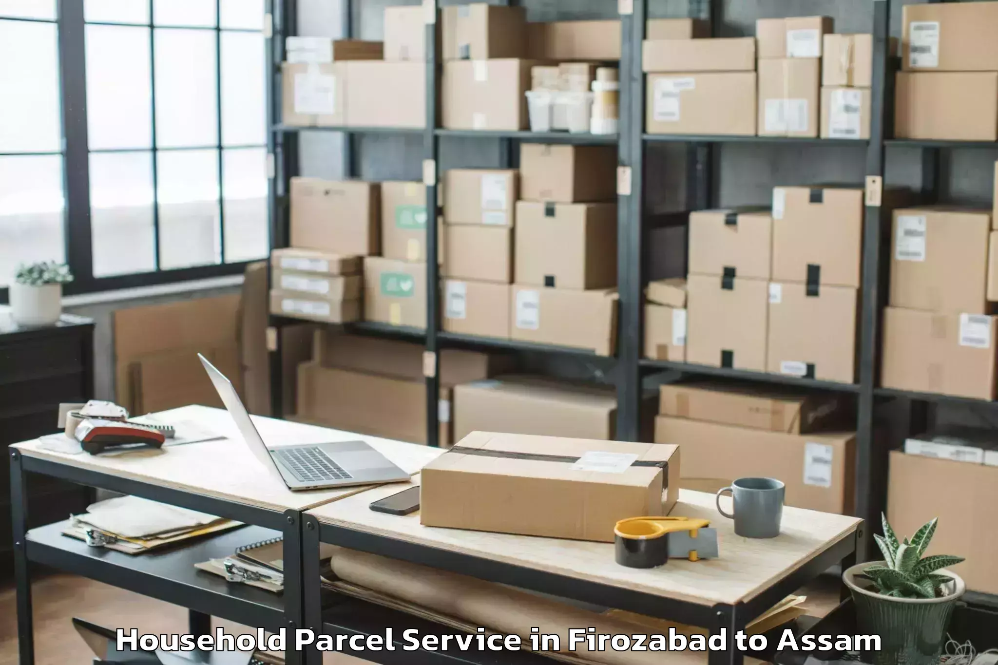 Hassle-Free Firozabad to Tezpur University Tezpur Household Parcel